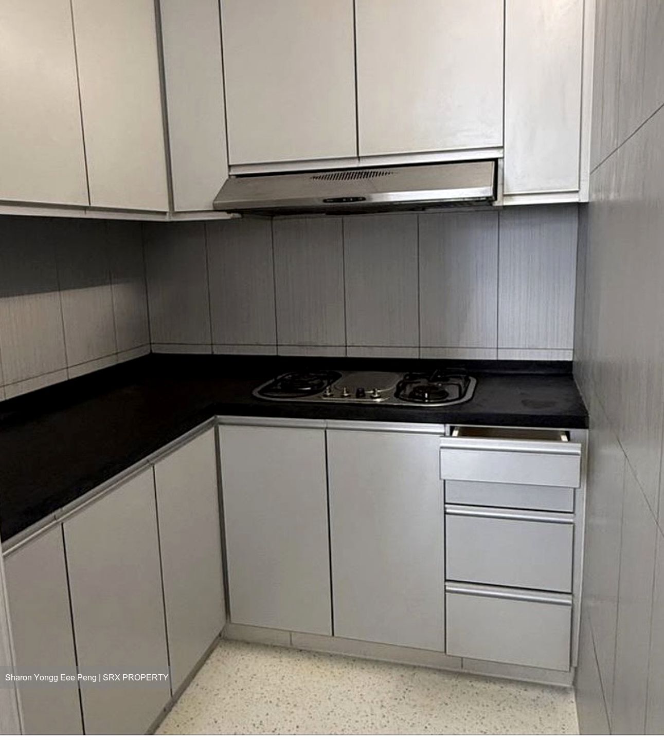 Evergreen View (D14), Apartment #571393751